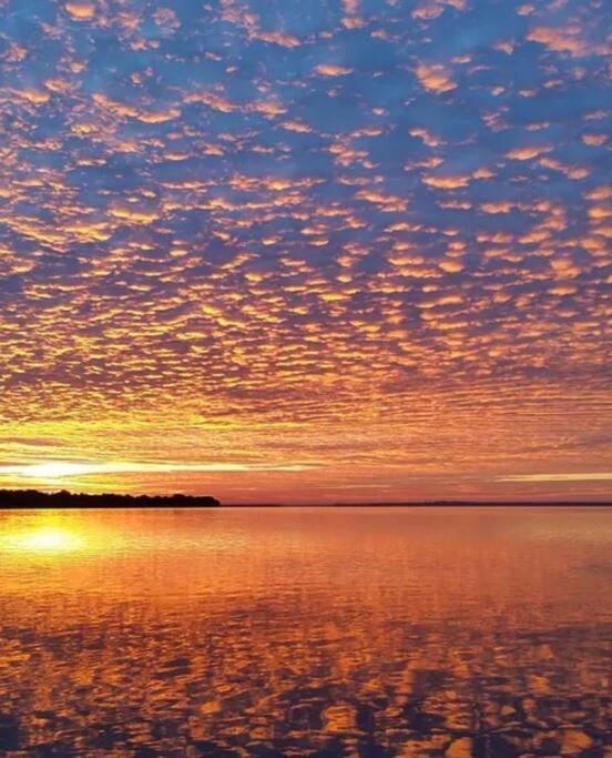 Paradise On Lake Harris Apt #202 Leesburg Bagian luar foto